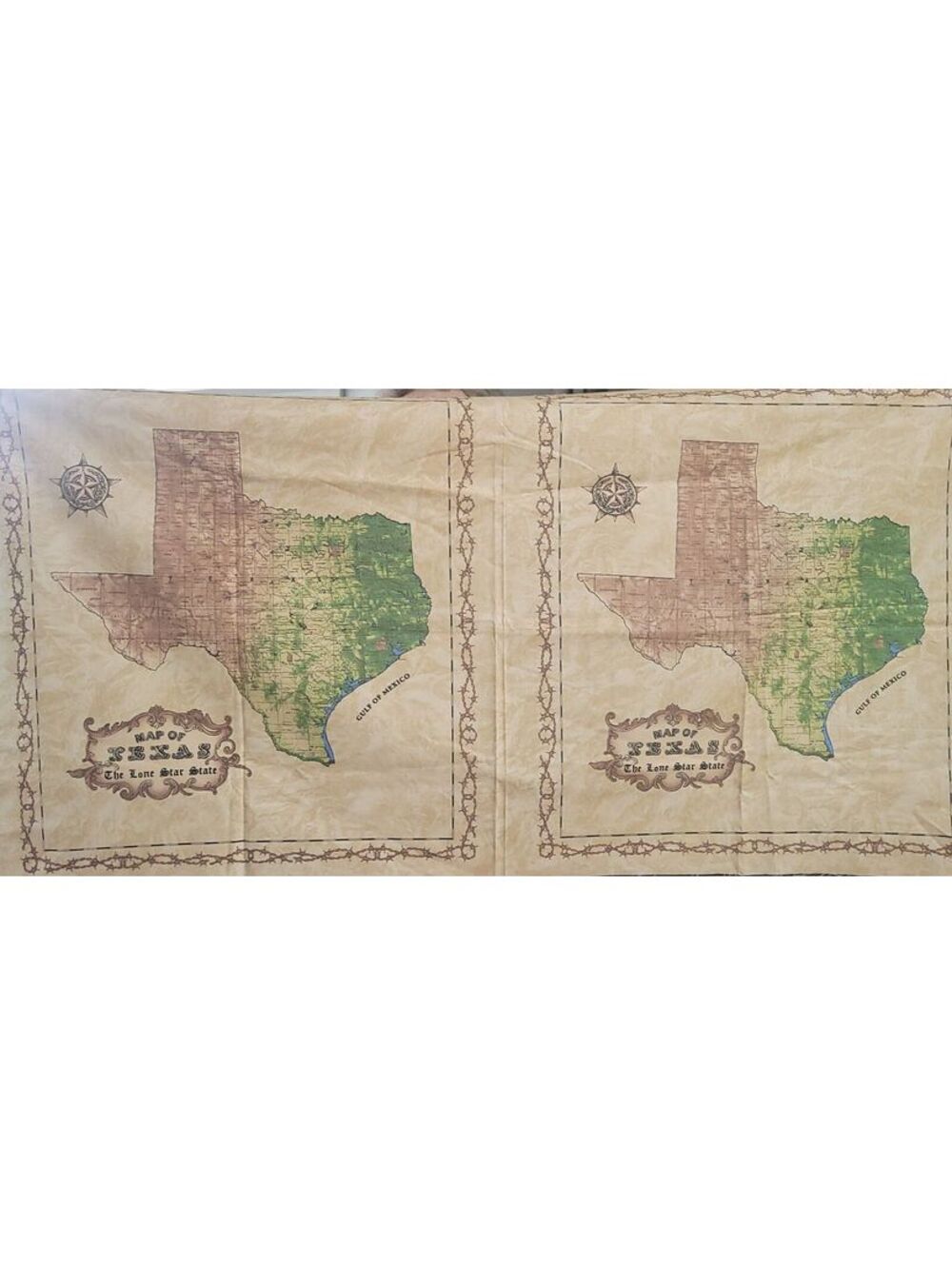 "Best of Texas" Sara Khammash Fabric Panel by MODA 22 x 44